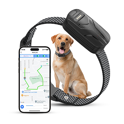 kpkkprasanth's tweet card. Get 70% OFF FurFence GPS dog collar. Features real-time tracking, virtual fence alerts, long battery life & worldwide coverage. Shop now!