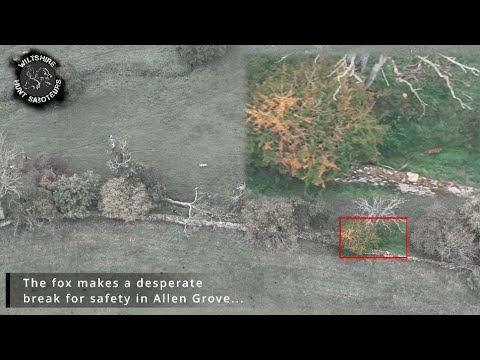 WiltsHuntSabs's tweet card. BeaufortKillAllenGorse11 10