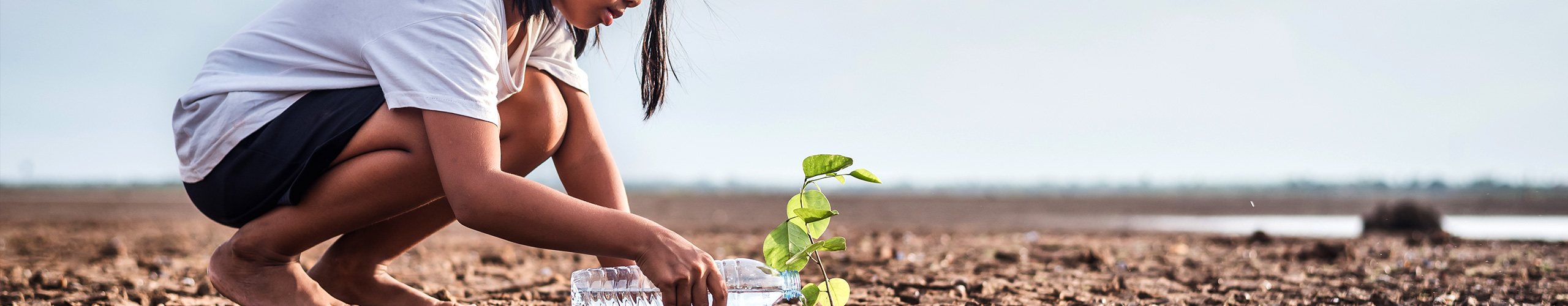 ArchivioDisarmo's tweet card. Migration driven by climate change is expected to rise substantially by 2050, raising concerns for the state of peacefulness worldwide.