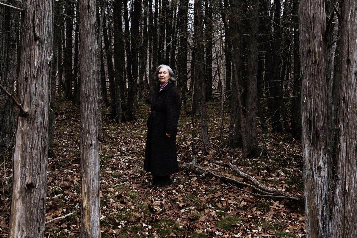 DBKTrees's tweet card. La biochimiste, orpheline à 13 ans, trouvait refuge dans la nature. Nourrie de culture celtique, elle étudie aujourd’hui les bienfaits des arbres. Et valide par ses travaux des savoirs ancestraux...