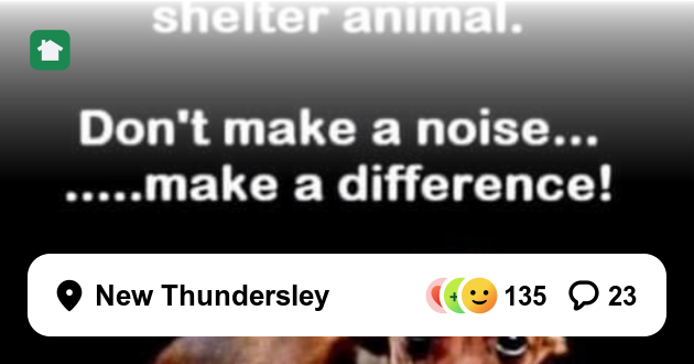 lessonsalive's tweet card. Join Nextdoor, an app for neighbourhoods where you can get local tips, buy and sell items, and more