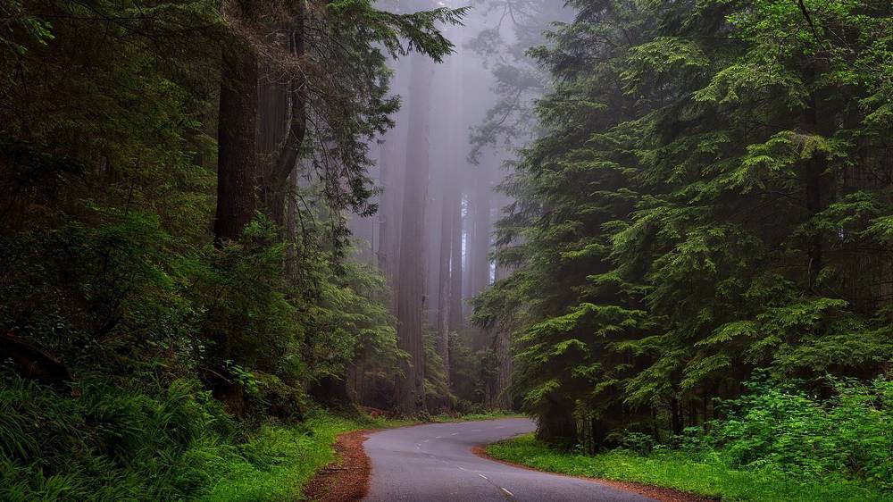 S4G_de's tweet card. Ein neues VR-Projekt will die Ausbildung in der Forstwirtschaft revolutionieren. Was ist geplant und warum setzen die Macher auf Virtual Reality?