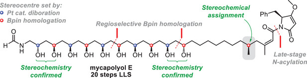 AggarwalLab's tweet card. We report the total synthesis of mycapolyol E in 20 steps (LLS). The ten 1,3-related hydroxy-substituted stereocenters were installed through iterative Pt-catalyzed alkene diboration and reagent-co...