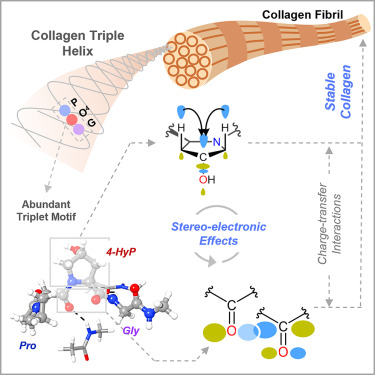 trayambakbasak's tweet card. Physical chemistry; Quantum chemistry; Quantum chemical calculations
