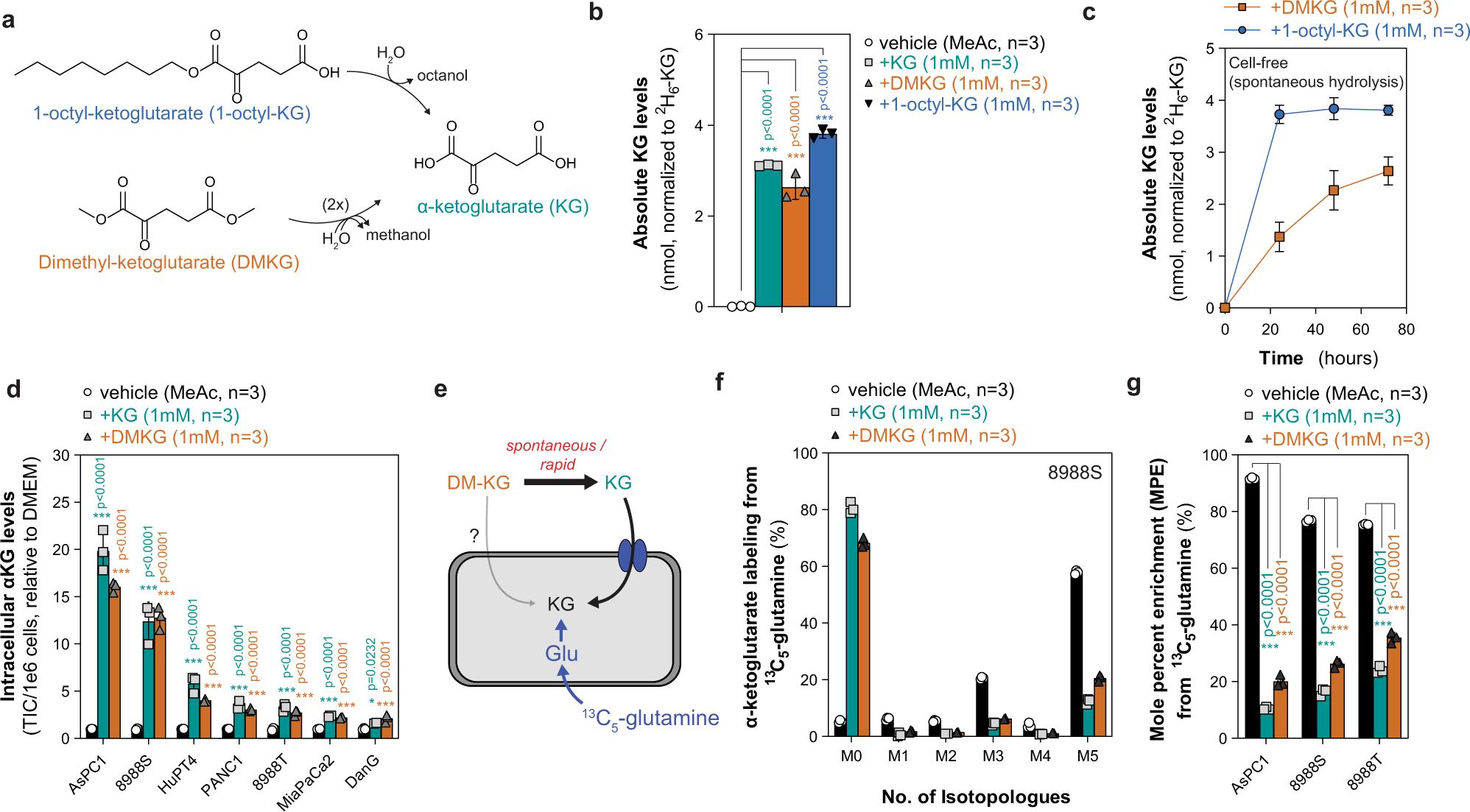 Chrest_brett's tweet card. Nature Communications - Analogues of α-ketoglutarate are used in many cellular studies but assumptions are made about cellular uptake. Here, the authors show that esterified analogues rapidly...
