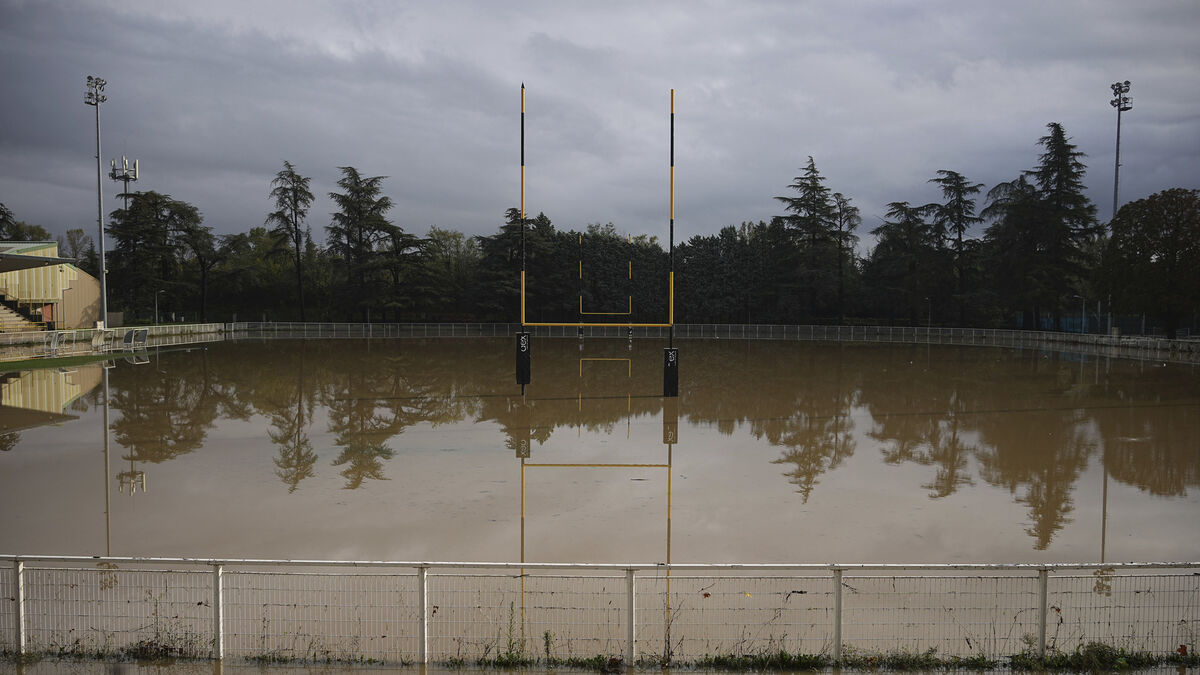 irishexaminer's tweet card. Rolling coverage of the international stories of interest to our readers