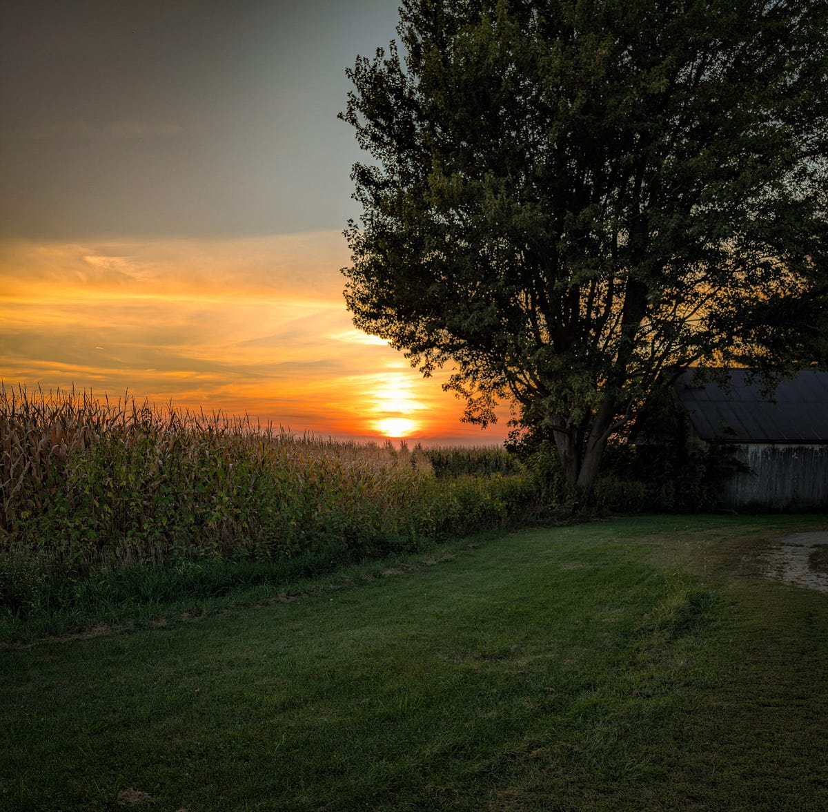 adavieauthor's tweet card. “I’m just waiting for the sun to shine.”