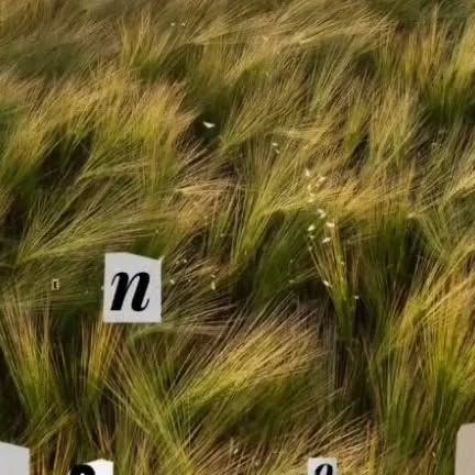 karoderick's tweet card. Karoderick Reece (@karoderick1) • Instagram photo