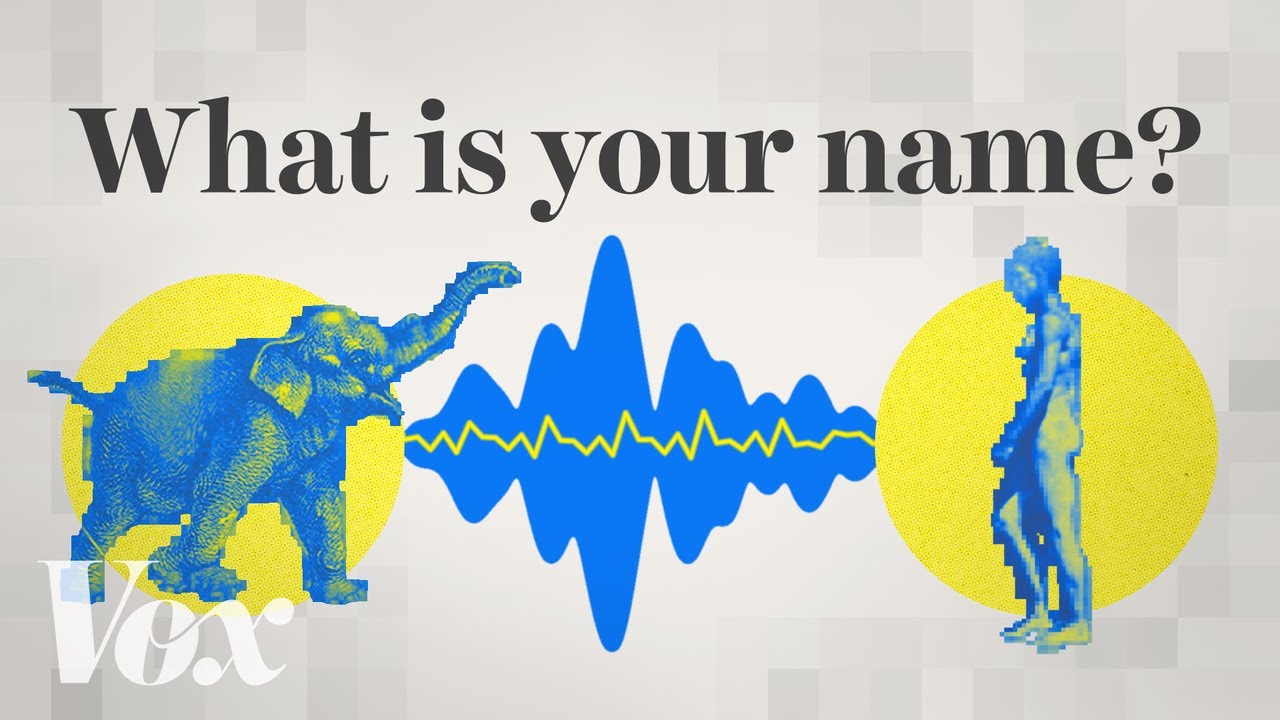 Shar_webdev's tweet card. How AI could help us talk to animals