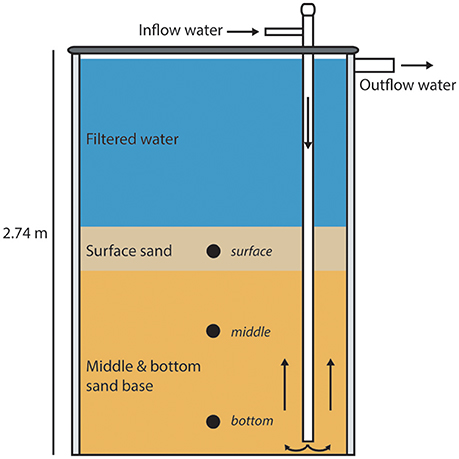 AlexUmbach's tweet card. Recirculating aquaculture systems (RAS) are unique engineered ecosystems that minimize environmental perturbation by reducing nutrient pollution discharge. R...