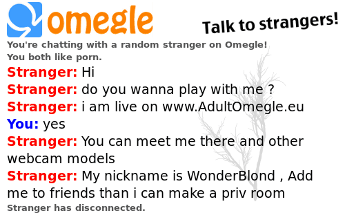 jcsliter's tweet card. Omegle chat log