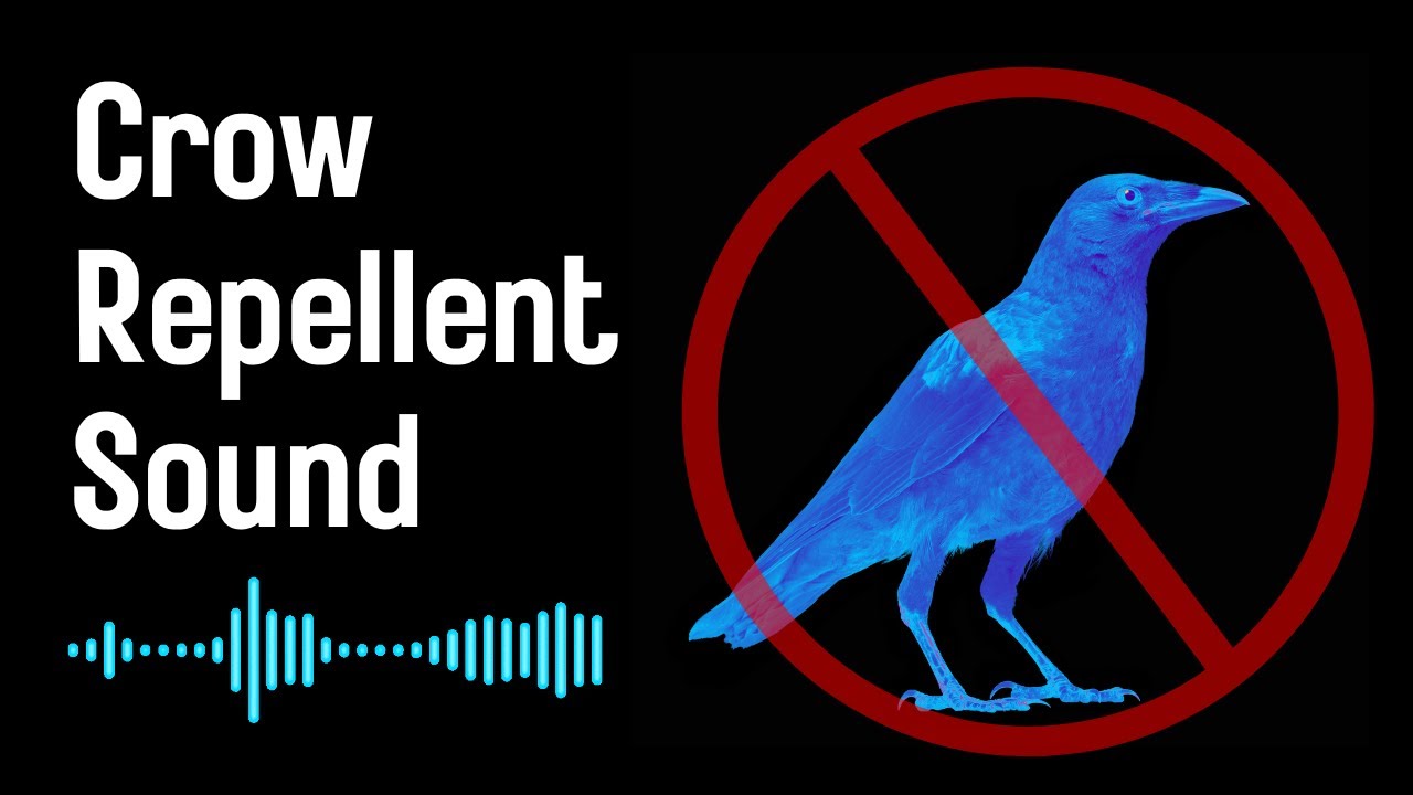 vsonic_001's tweet card. High-frequency sound for crow repellent : Drive away troublesome crows