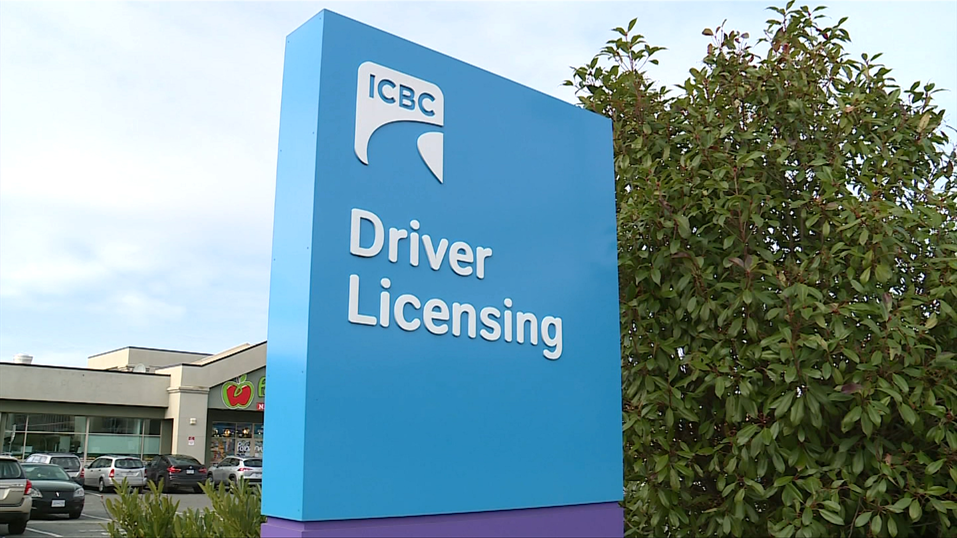 ssharma68's tweet card. A Nanaimo wife says her husband, who has a cognitive impairment, poses a danger on the roads and should have his driver's licence pulled.