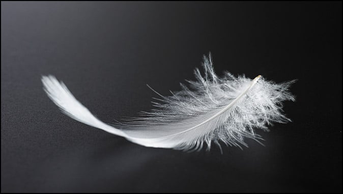 RaptureForums's tweet card. Satan’s pride was the cause of his downfall. Now he uses his feather to cause men to fall by his itching ears tactic.