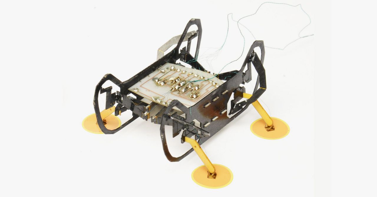 WIRED's tweet card. The magic ingredient isn’t glue, or a material that mimics the pad of a gecko’s foot, but voltage. Specifically, electroadhesion.