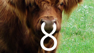 AndyBeaulieu's tweet card. When Microsoft showed off Windows 8 for the first time a few weeks ago…