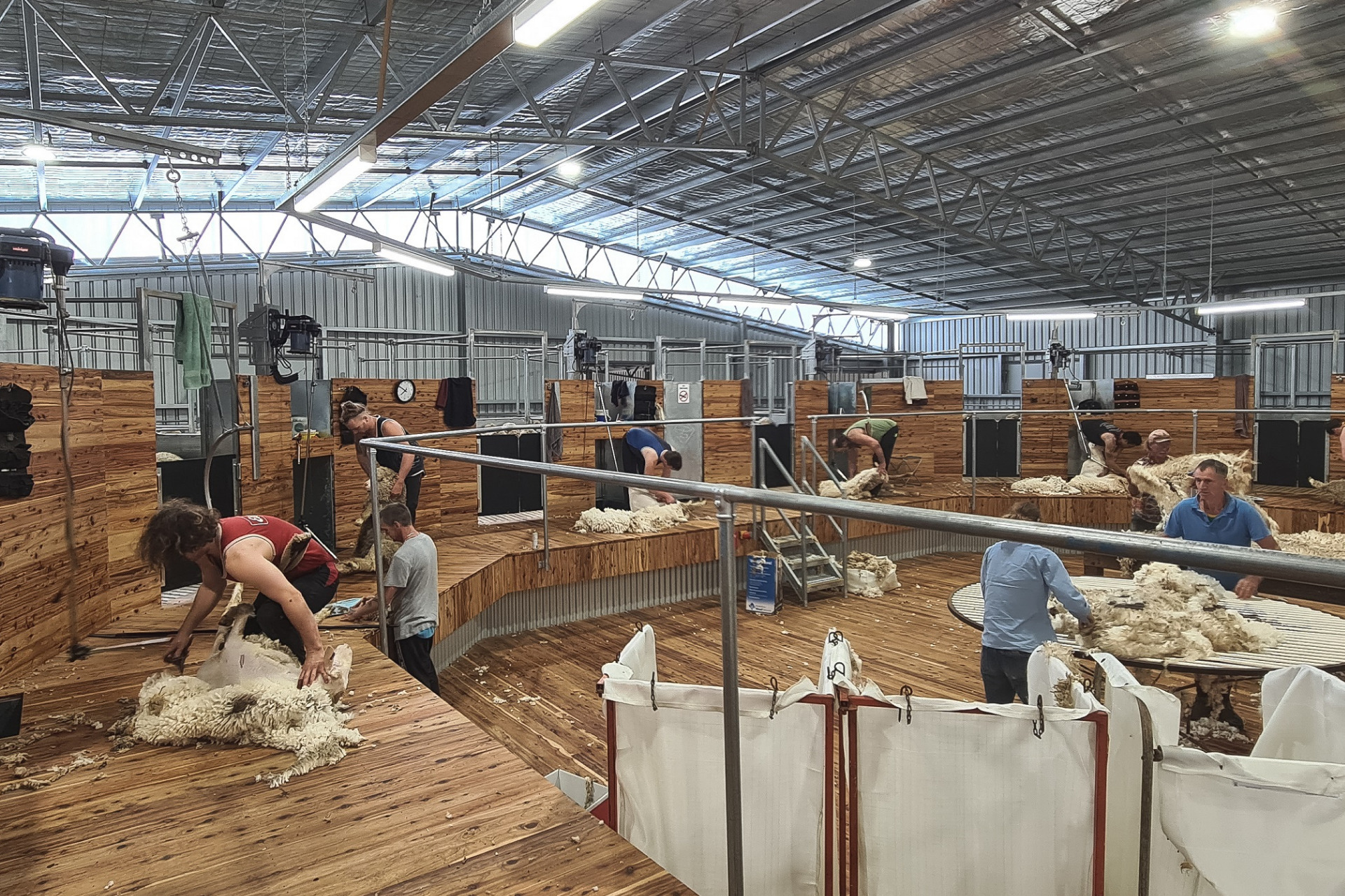 ActionSteel's tweet card. A safe shearing shed facility is essential for wool growers. Learn about this impressive shearing shed build for Wirrinourt by Action Steel.