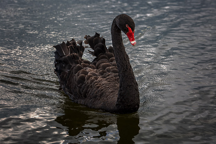 FX168Group's tweet card. 日本财务大臣片山皋月在日元跌破155日元兑1美元之际加强对日元贬值的警告。片山皋月周二对记者表示：“我看到外汇市场出现了极端单边且迅速的波动。我对此深感担忧。”