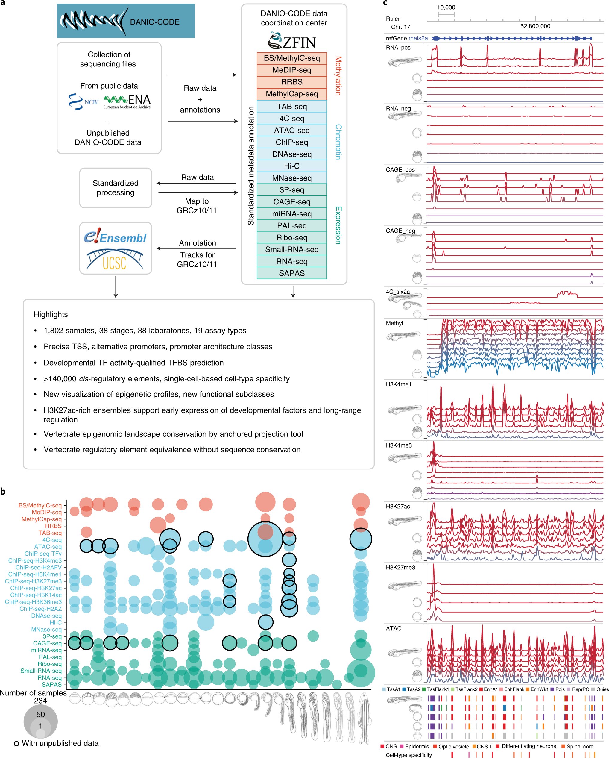 LawsonZFLab's tweet card. Nature Genetics - The DANIO-CODE consortium leverages a large-scale multiomic dataset to improve zebrafish genome annotation. They identify ~140,000 cis-regulatory elements throughout development...