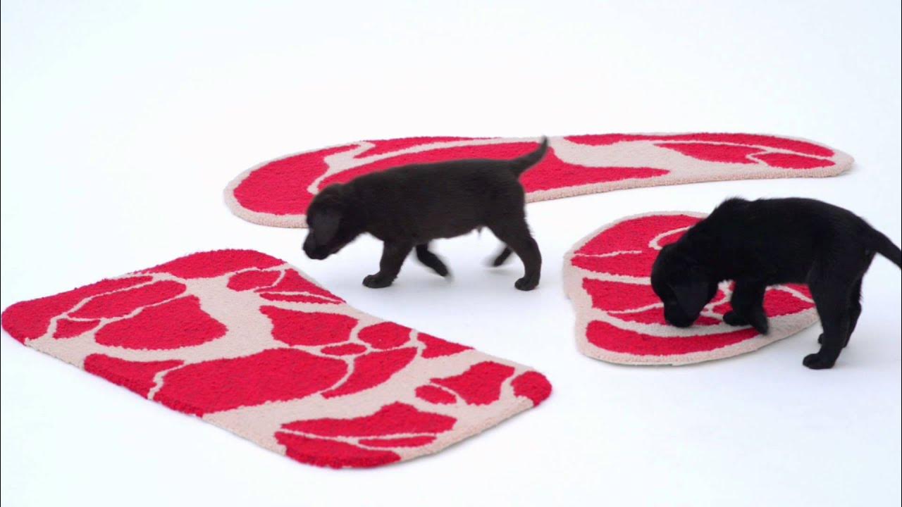 ArchForDogs's tweet card. NIKU RUG by MA YANSONG