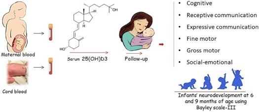 Drdolatsingh's tweet card. Vitamin D is involved in several processes related to the development of neuronal and non-neuronal cells. There is a possible link between maternal vitamin D status in pregnancy and delayed neuroco...