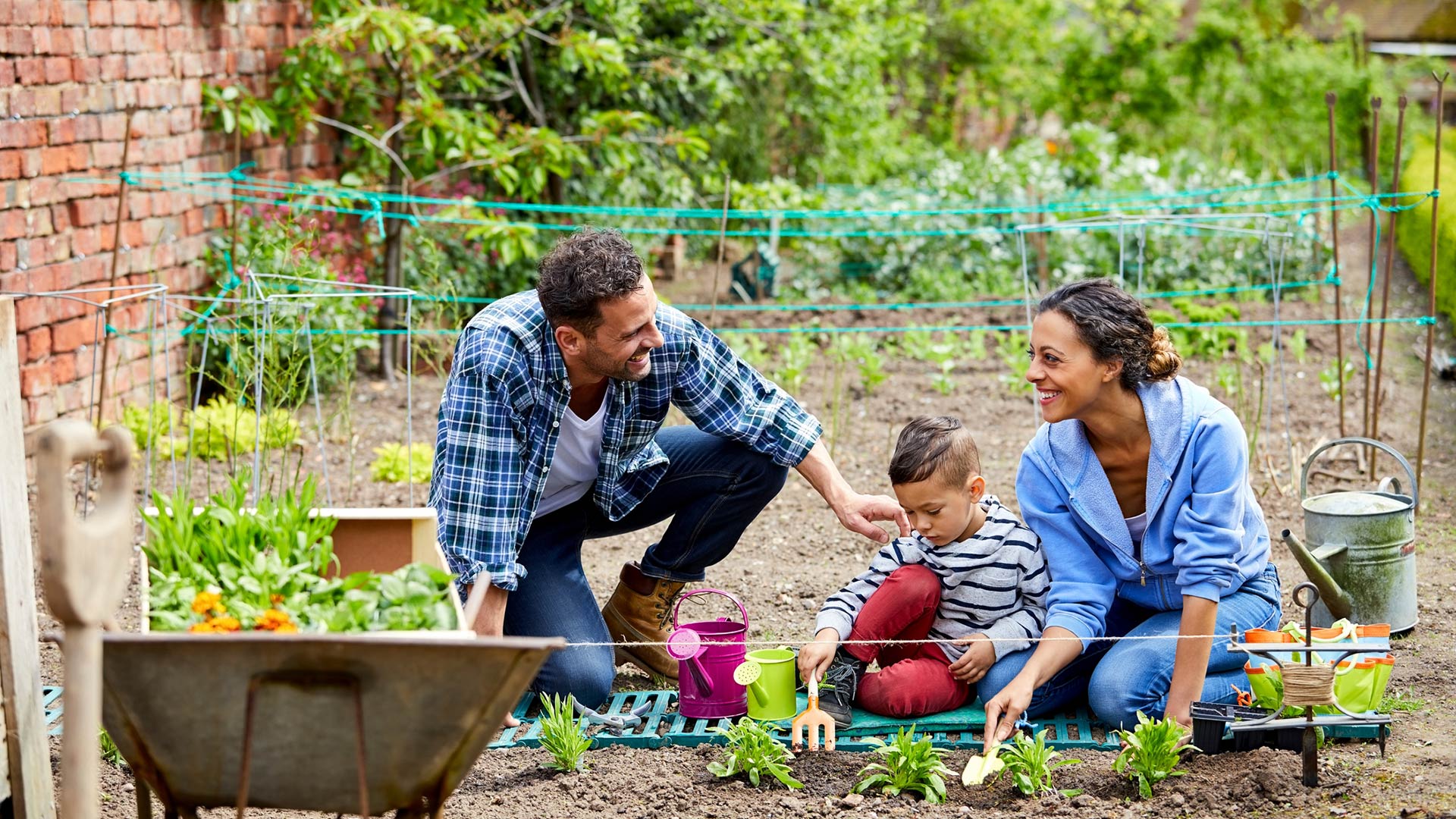 PlainHelp_'s tweet card. If the size of your garden doesn’t match the size of your ambitions, don’t worry. Here are a few ways you can fully utilize every inch of your plot.
