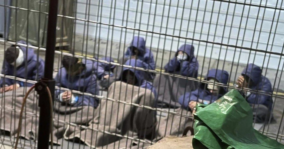 CTVNews's tweet card. he number of Palestinians dying in Israeli custody surged to nearly 100 people since the start of the war in Gaza, according to a report published Monday by a human rights group that says systematic...