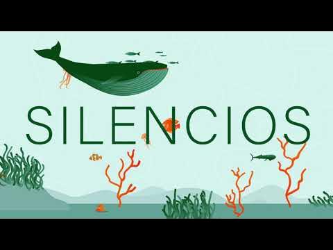 SILENCIO_CETMAR's tweet card. Proyecto SILENCIOS