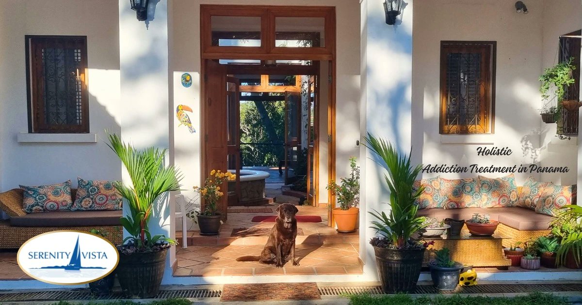 SerenityVista's tweet card. Serenity Vista, nestled in the tranquil beauty of Boquete, is a premier luxury rehab center dedicated to providing the utmost care and comfort for a transformative recovery journey. Experience...