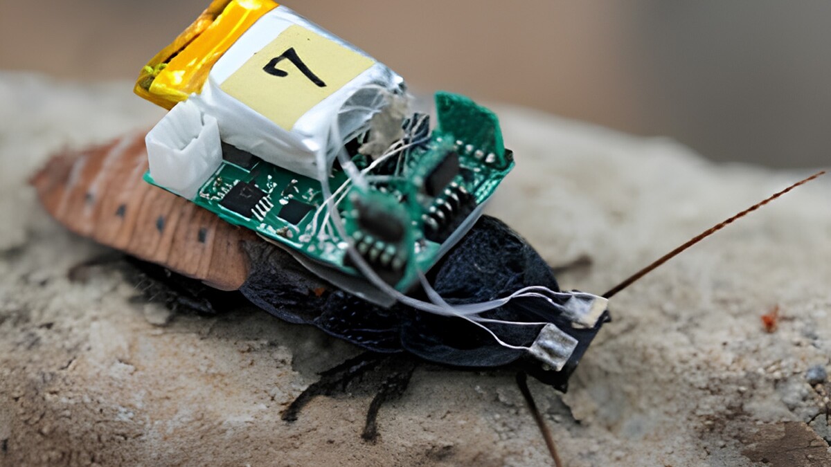 CyberTechWare's tweet card. I bet that headline wasn't on your bingo card this week. Researchers at the University of Osaka have equipped cyborg insects with teeny tiny helmets to steer them around various environments, without...
