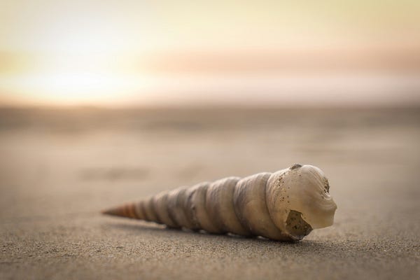 ByteCooking's tweet card. Here are 42 essential Shell scripts that can greatly improve efficiency by automating various tasks in system administration. These…