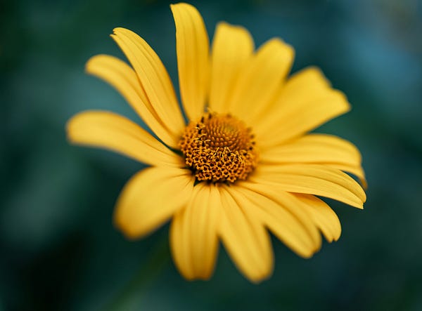 ByteCooking's tweet card. As a crucial component of Docker, Containerd has become a popular container solution, gradually replacing Docker’s role in Kubernetes…