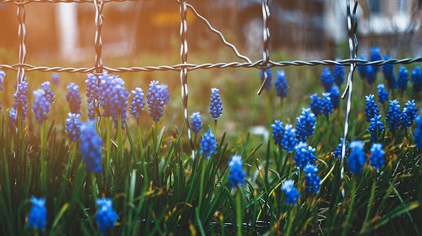 ByteCooking's tweet card. When it comes to unit testing, people’s reactions often fall into one of two categories: either they think, “Unit testing? It’s quite…