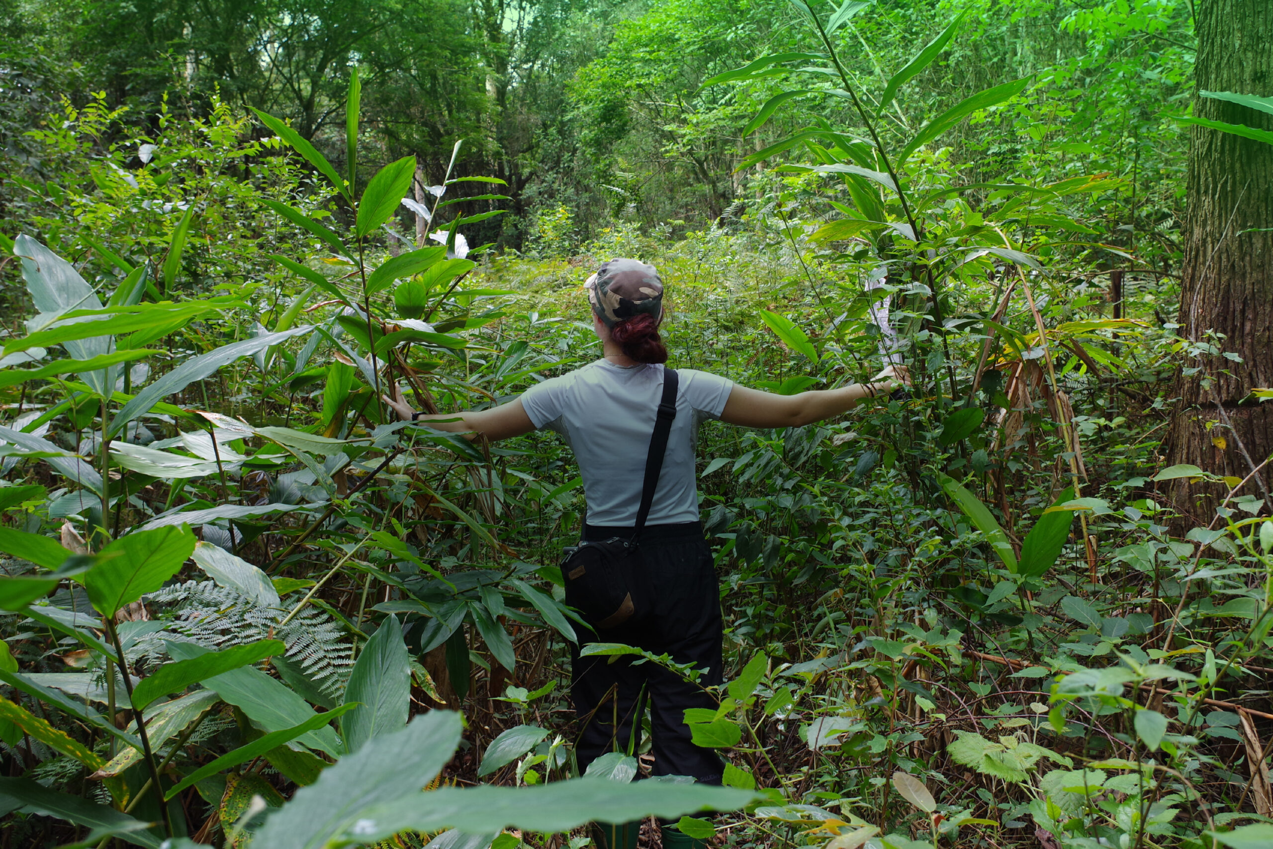 KipHottman's tweet card. The Slingshot Challenge, supported by the National Geographic Society and Paul G. Allen Family Foundation, is a platform where 13-18 year olds can voice their ideas about the future of conservation...