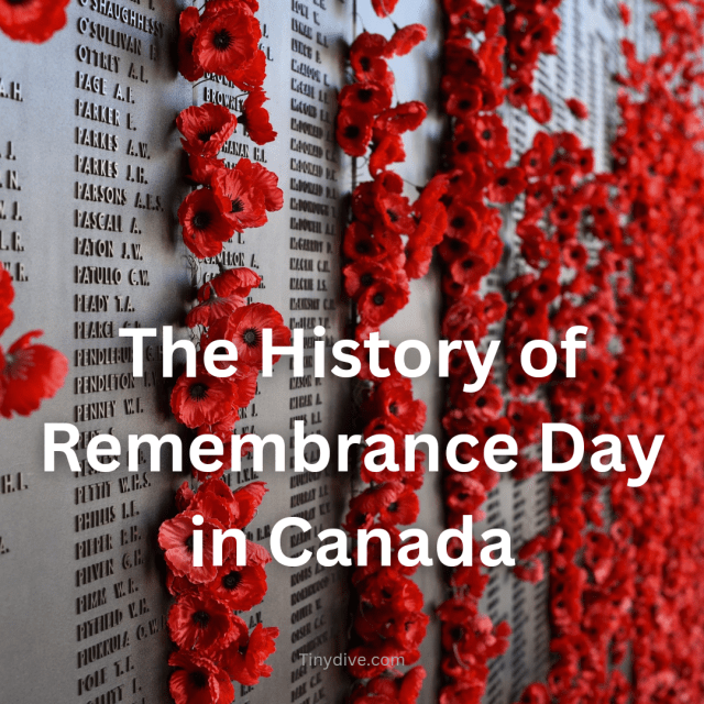 tinydive's tweet card. Remembrance Day, observed on November 11, is a solemn and important day in Canada, commemorating the sacrifices of military personnel in World War I, World War II, the Korean War, and other militar…