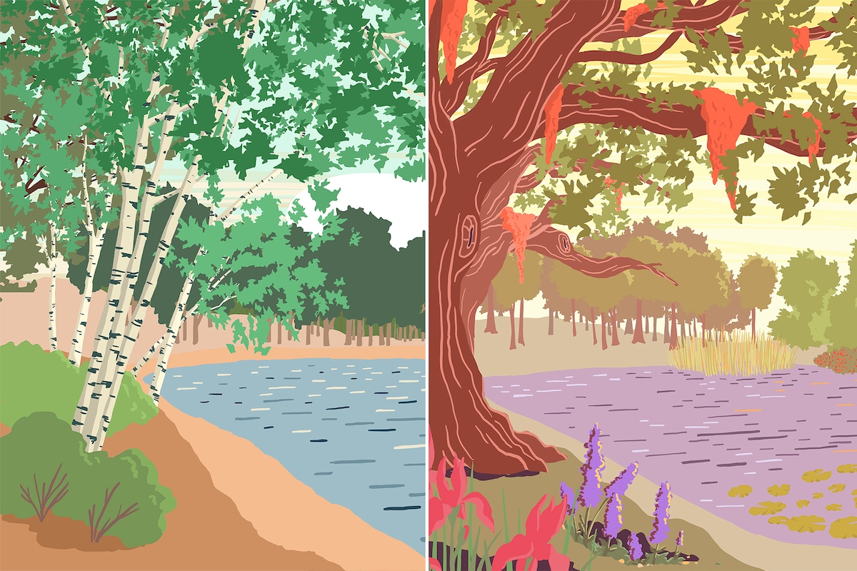 codingyan's tweet card. The time to notice and appreciate the world around us is now.