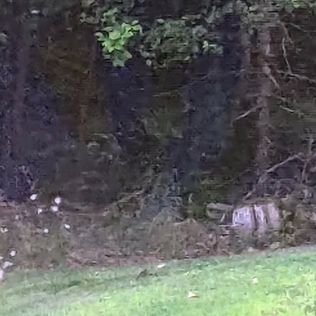 linux_rulz's tweet card. Jeff Hanscom (@jdhanscom) • Instagram photo