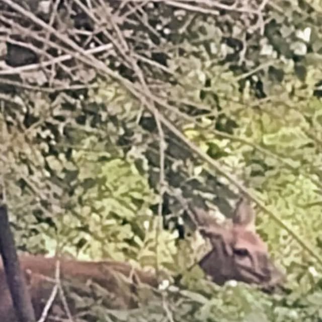 linux_rulz's tweet card. Jeff Hanscom (@jdhanscom) • Instagram photo