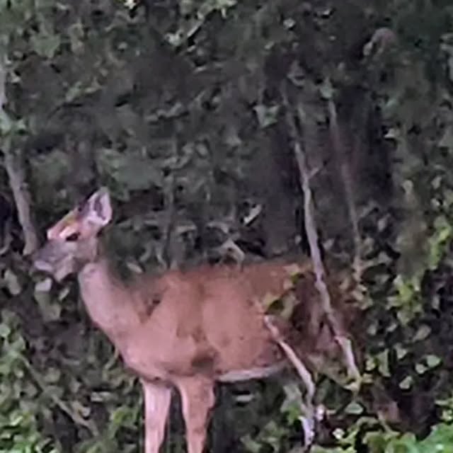 linux_rulz's tweet card. Jeff Hanscom (@jdhanscom) • Instagram photo