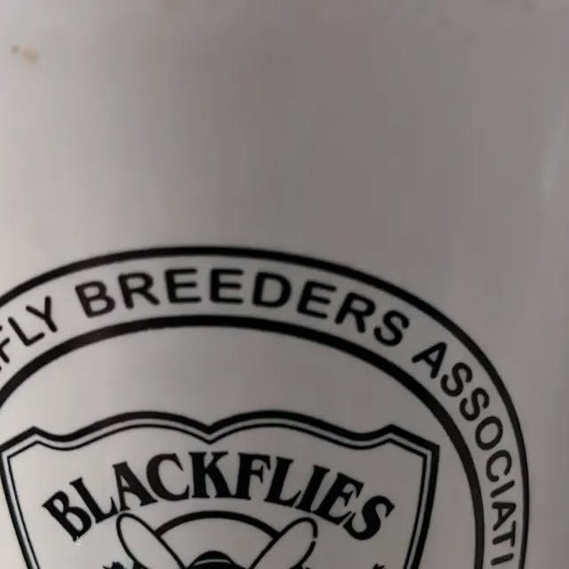 linux_rulz's tweet card. Jeff Hanscom (@jdhanscom) • Instagram photo