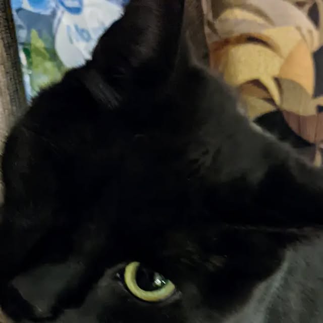 linux_rulz's tweet card. Jeff Hanscom (@jdhanscom) • Instagram photo