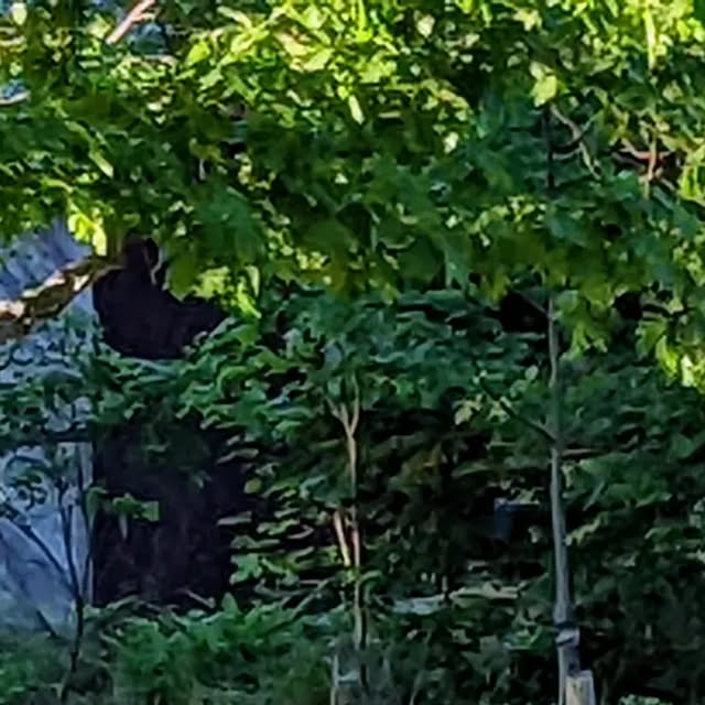 linux_rulz's tweet card. Jeff Hanscom (@jdhanscom) • Instagram photo