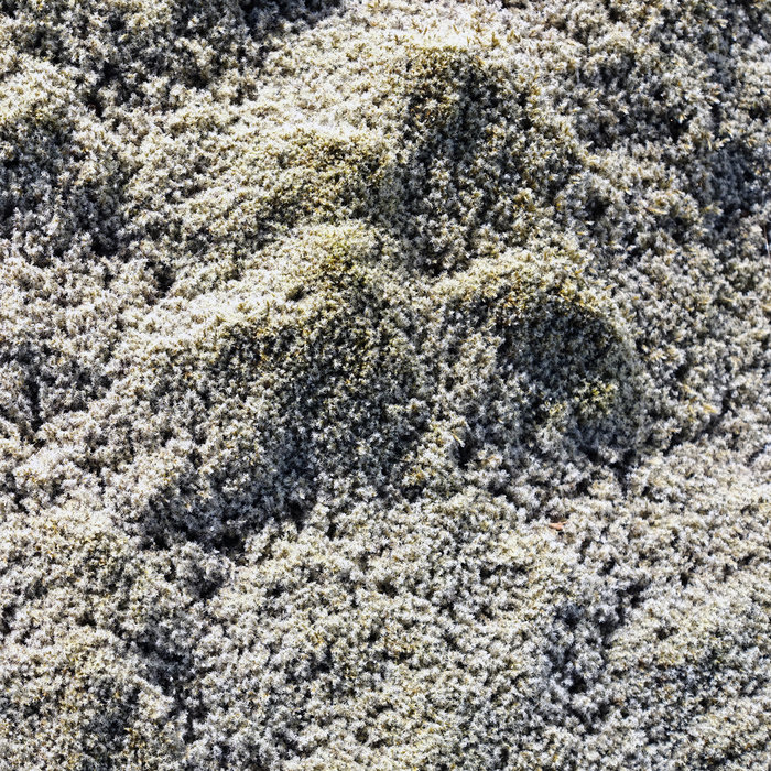 ParallelWorlds_'s tweet card. Dark Energy, by Parallel Worlds