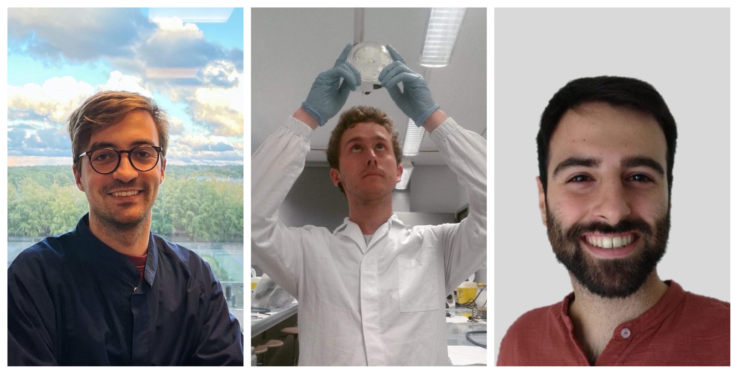 BiologiScienza's tweet card. Riportare la bibliografia scientifica può causare effetti indesiderati tra cui: denunce.