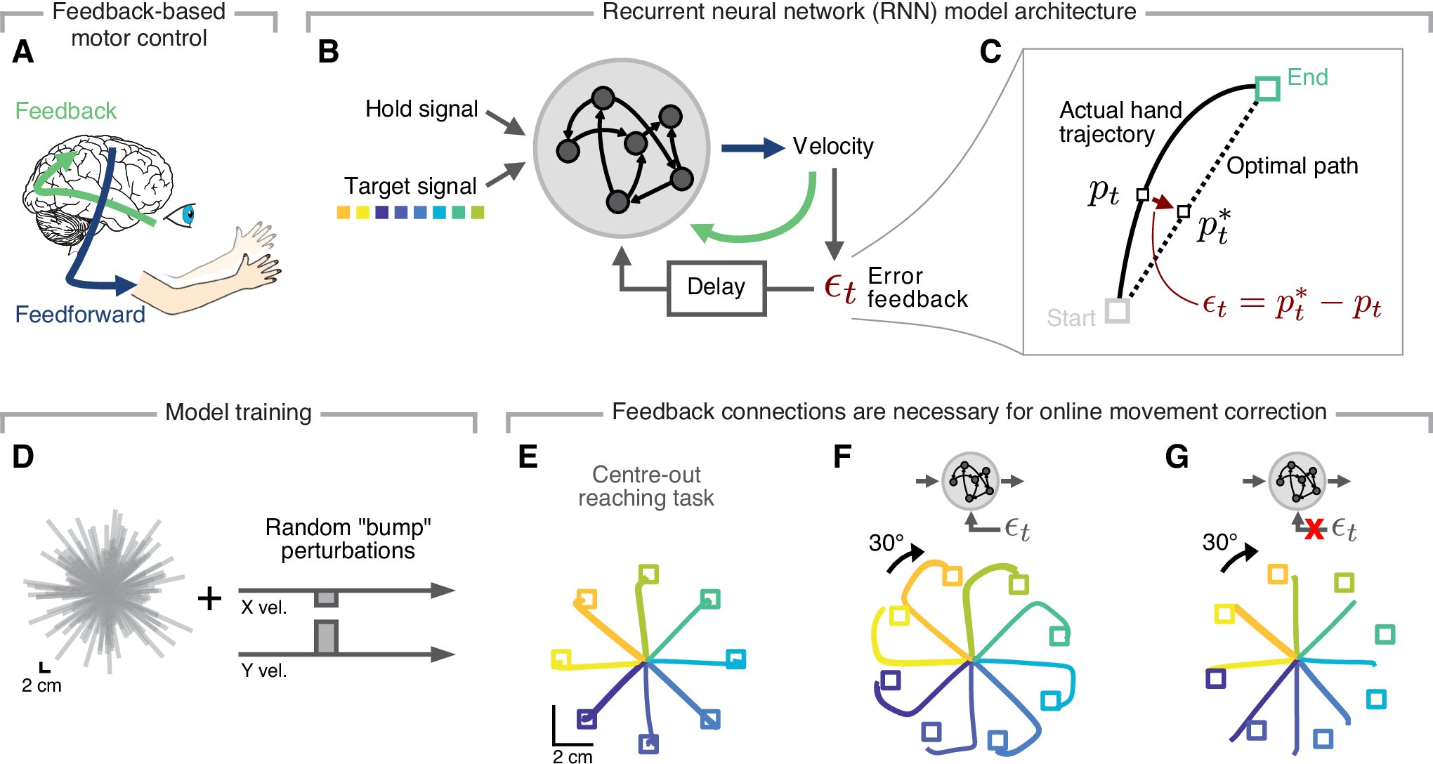 ClopathLab's tweet card. Nature Communications - How the brain adapts our movements to new conditions remains unclear. Here, the authors show that a recurrent neural network that controls its output using error-based...