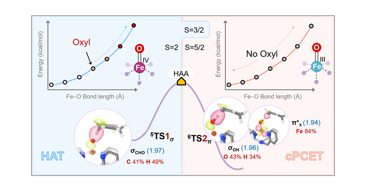 CompCatLab's tweet card. Discerning hydrogen atom transfer (HAT) from proton-coupled electron transfer (PCET) mechanisms in C–H oxidation by biomimetic Fe-oxo complexes remains a longstanding challenge, with a central...