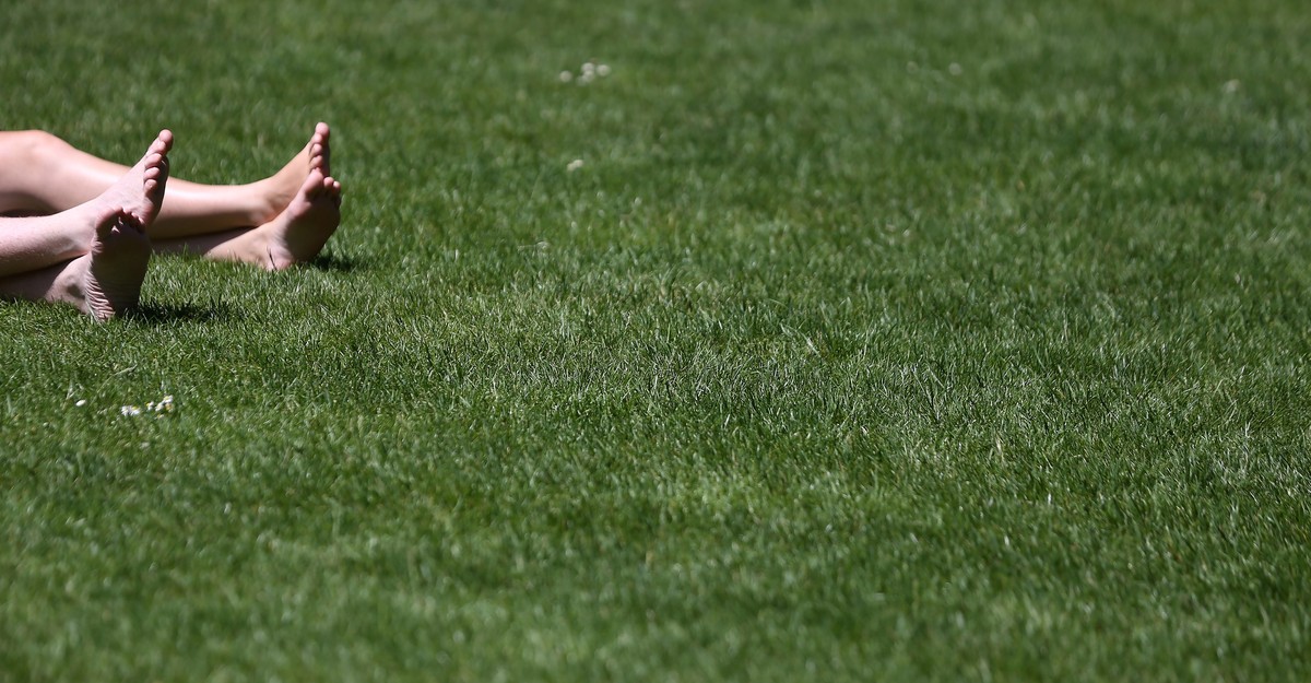 ssutton_netsync's tweet card. Too little, and people tend to get stressed. Too much, and people tend to feel idle.