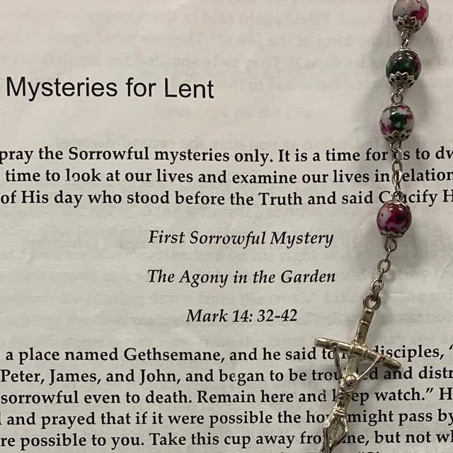 SJAstingraysvb's tweet card. St John the Apostle School ✝️ (@sjastingraysvb) • Instagram photos and videos