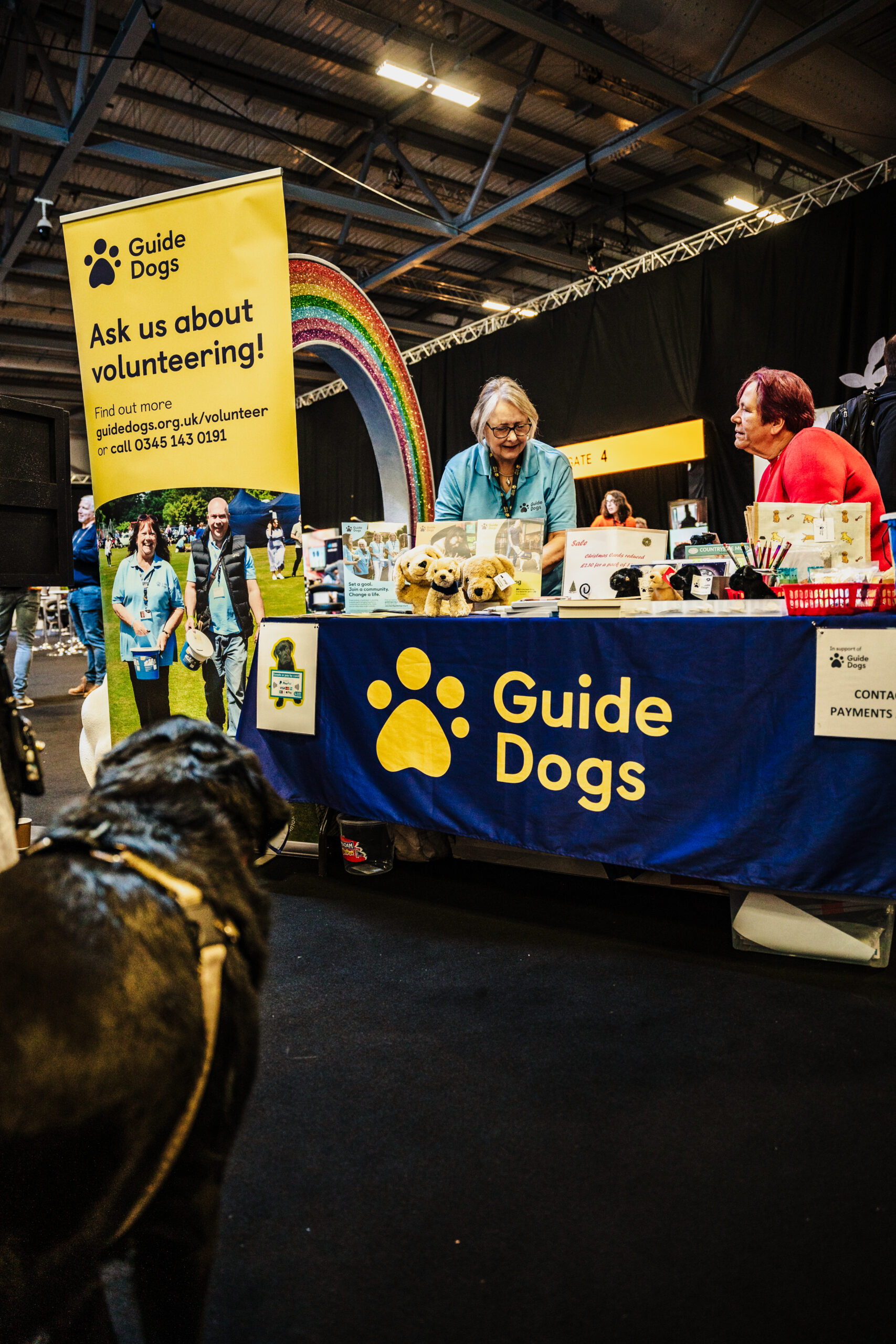 SQLBits's tweet card. A huge thank you to our 2024 delegates for their generosity in supporting our two nominated charities at the event, Momentum in Fitness and Guide Dogs for the Blind.