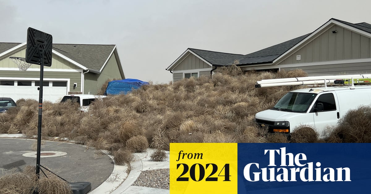 answerswithjoe's tweet card. Houses, roads and cars in South Jordan have been hit by a swathe of invasive weeds after a strong spring storm